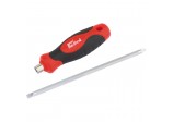 Screwdriver With Reversible Blades